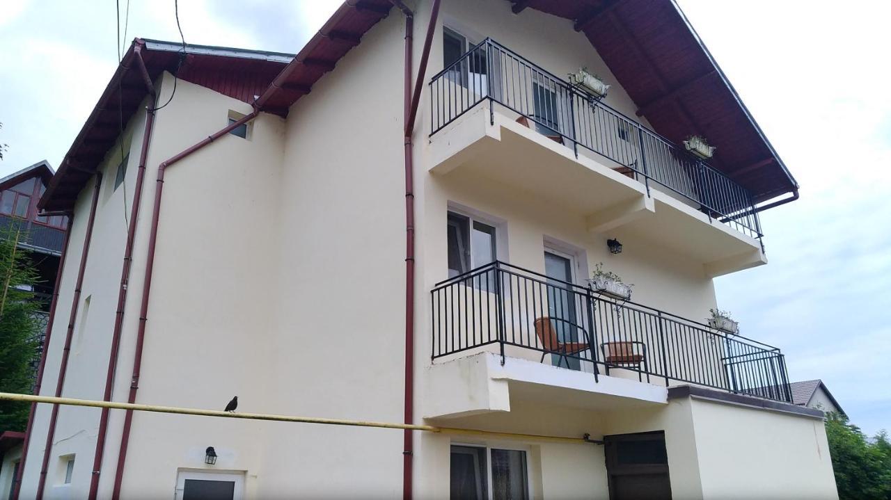 Casa Zura Hotel Busteni Ngoại thất bức ảnh